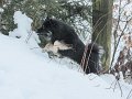 franzi-badberka (20)